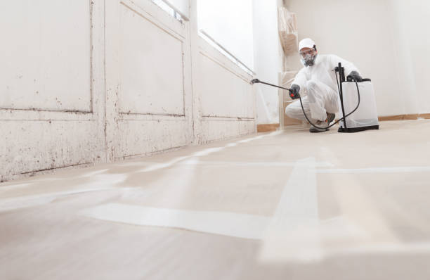 24/7 Emergency Crawl Space Mold Remediation experts in Prospect Heights, IL